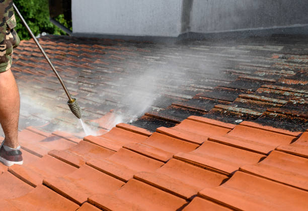 Best Pressure Washing Brick  in Freemansburg, PA